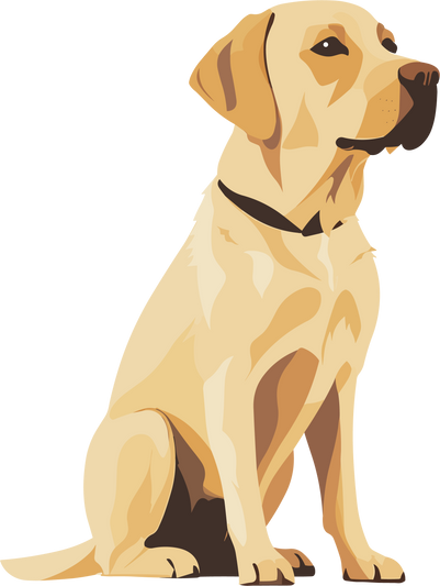 simplified flat art vector image of yellow Labrador Retriever